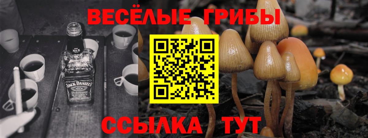 Галлюциногенные грибы мухоморы Орёл